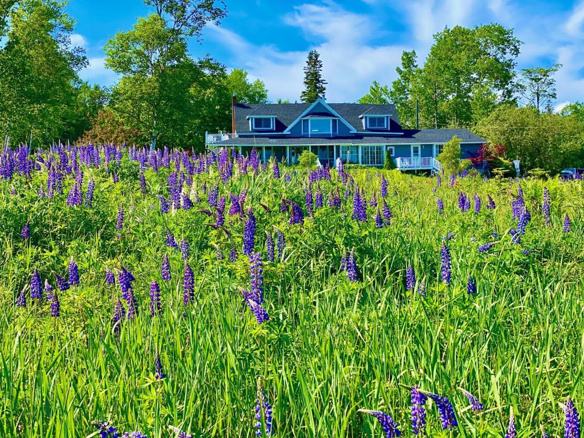 Broadwater Inn & Cottages Baddeck Inlet Exteriör bild